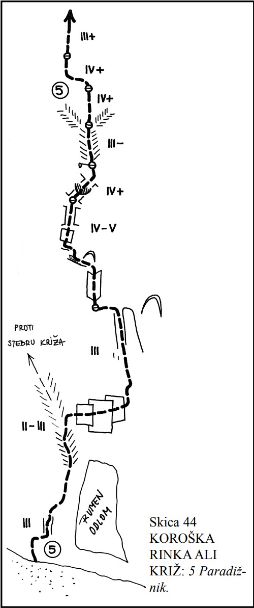 Paradižnik | Slovenske stene